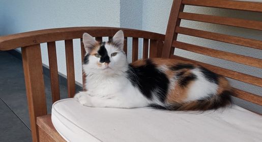 Bailey, Imsterberg, (08/21)