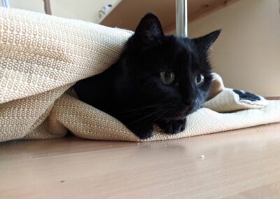 Lady, Absam,  (08/21)