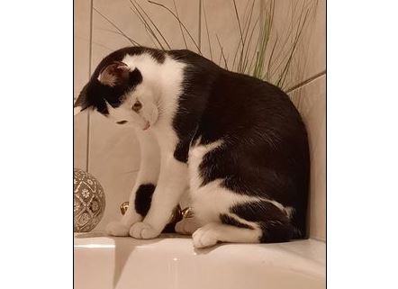 Pierre, Reutte, (08/21)