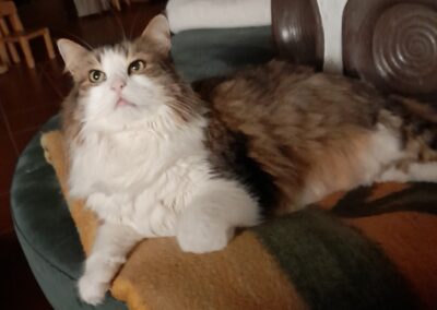 Samy, Telfs,  (08/21)