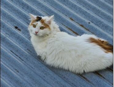Birgit, Fulpmes,  (09/21)