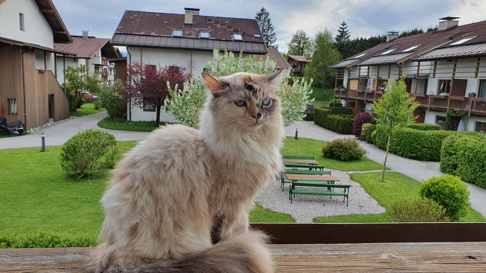 Fippsi, St. Johann (9/21)