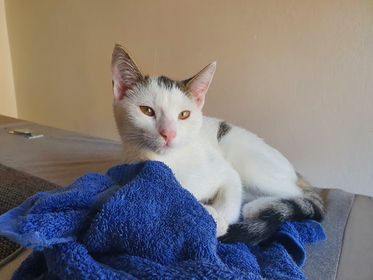 Yuki, Kolsass,  (09/21)