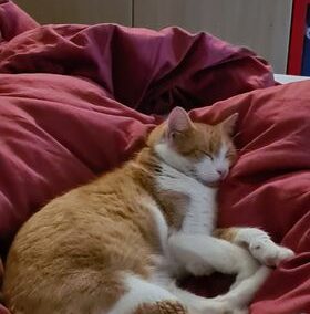 Marley, Erpfendorf