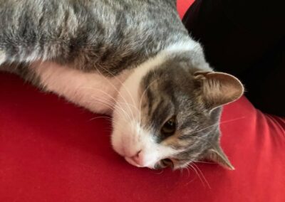 Kater, Völs22/11/21