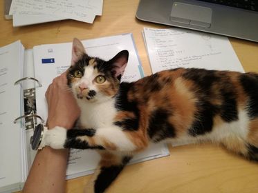 Mila, Imst22/11/21