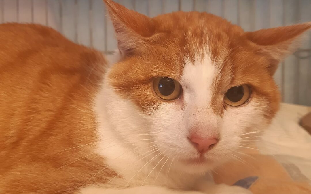 Kater, Schwaz05/11/21