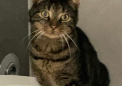Leo, Schwaz11/21
