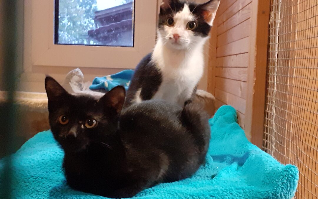 Sina und Samuel