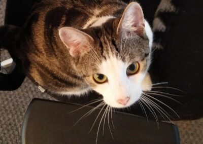 Barnabas, Axams27/12/21