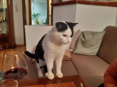 Felix, Längenfeld01/12/21