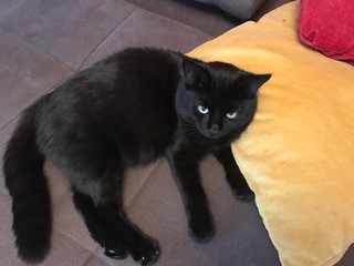 Lilli, Rum01/12/21