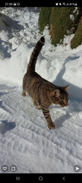 Nala, Thaur06/12/21
