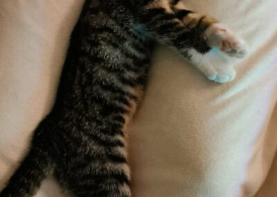 Tiggy, Telfs24/01/22