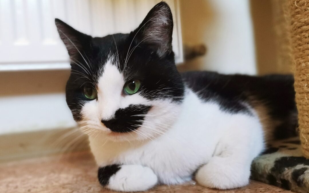 Benny