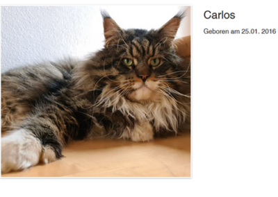 Carlos, Ötztal20/02/22