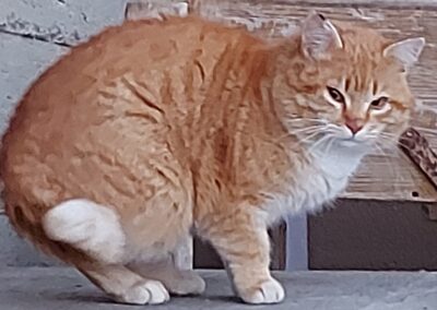 Fundkater, Weerberg14/03/22