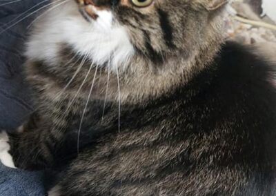 Fundkatze, Kufstein21/03/22