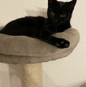 Lucy, Ebbs20/02/22