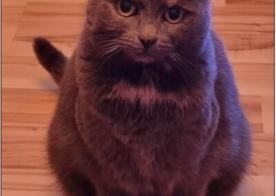 Wilma, Telfs  23/03/22
