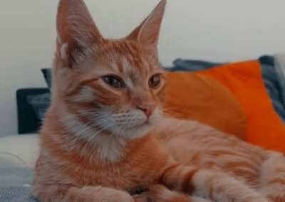 Lucy, Leutasch20/04/22