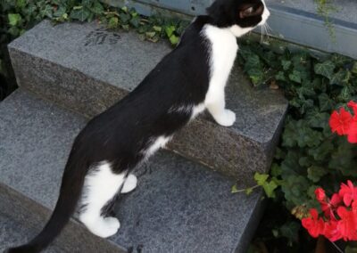 Moritz, Innsbruck20/04/22