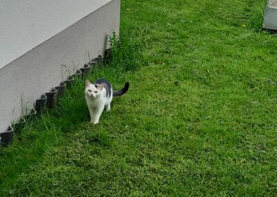 Fundkater, Kramsach18/05/22