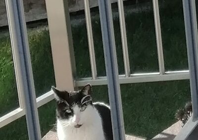 Fundkater, Langkampfen02/05/22