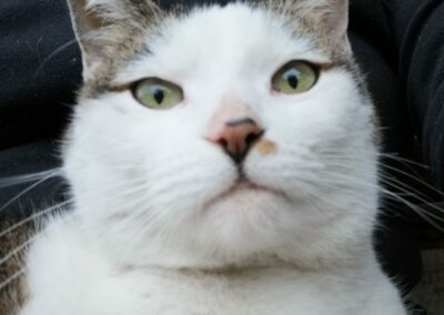 Fundkatze, Radfeld11/05/22