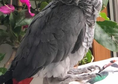 Schükür, Tulfes(05/22)