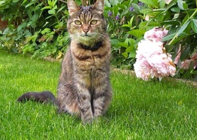 Chicca, Hochrum21/06/22