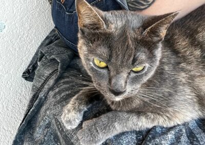 Fundkatze, Unterlangkampfen09/06/22