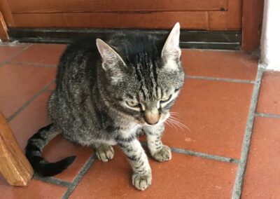 Kater, Ebbs06/07/22