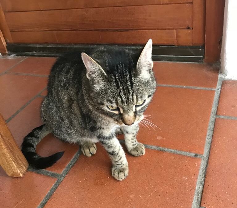 Kater, Ebbs06/07/22