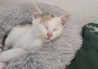 Mira, Radfeld04/07/22