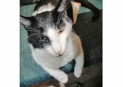 Jacky, Langkampfen(08.22)