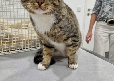 Fundkater, Kufstein 29/08/22
