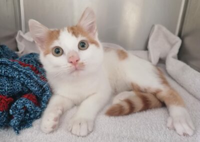 Kater, Kufstein25/08/22