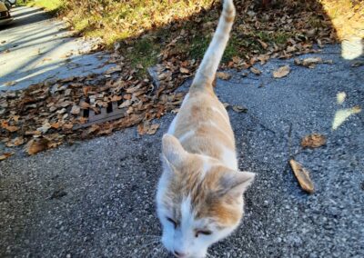 Fundkater, Schwaz26/09/22