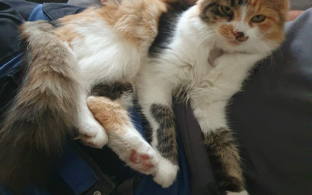 Nala, Itter21/09/22