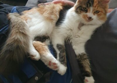 Nala, Itter21/09/22