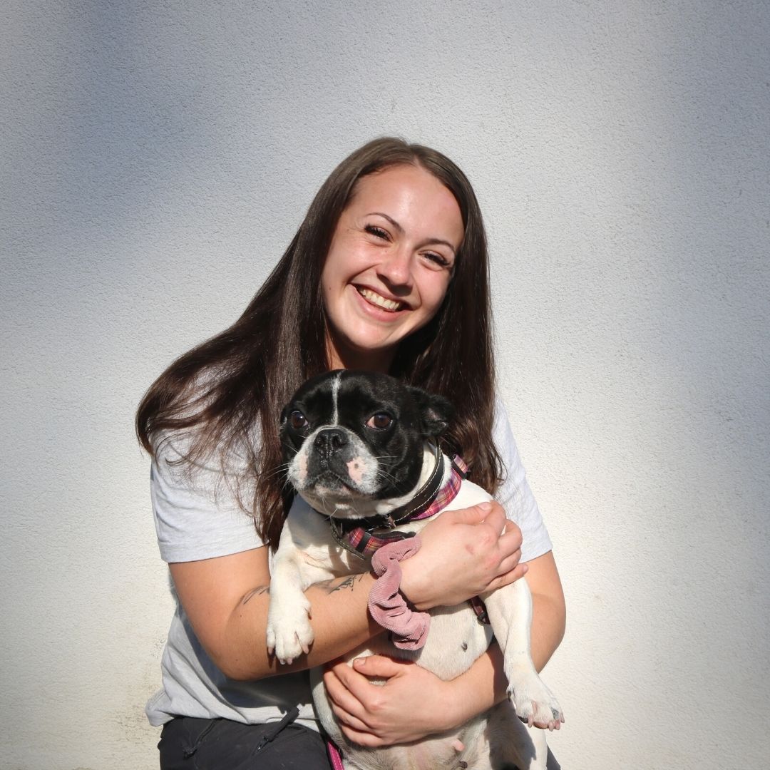 TIERPFLEGERIN HUNDE