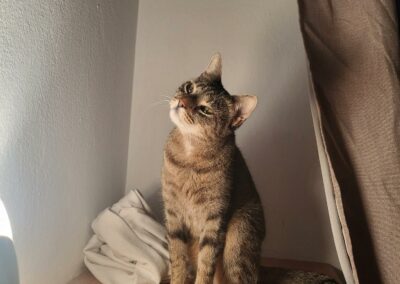 Xena
