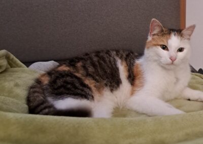 Nala  (10/2022)
