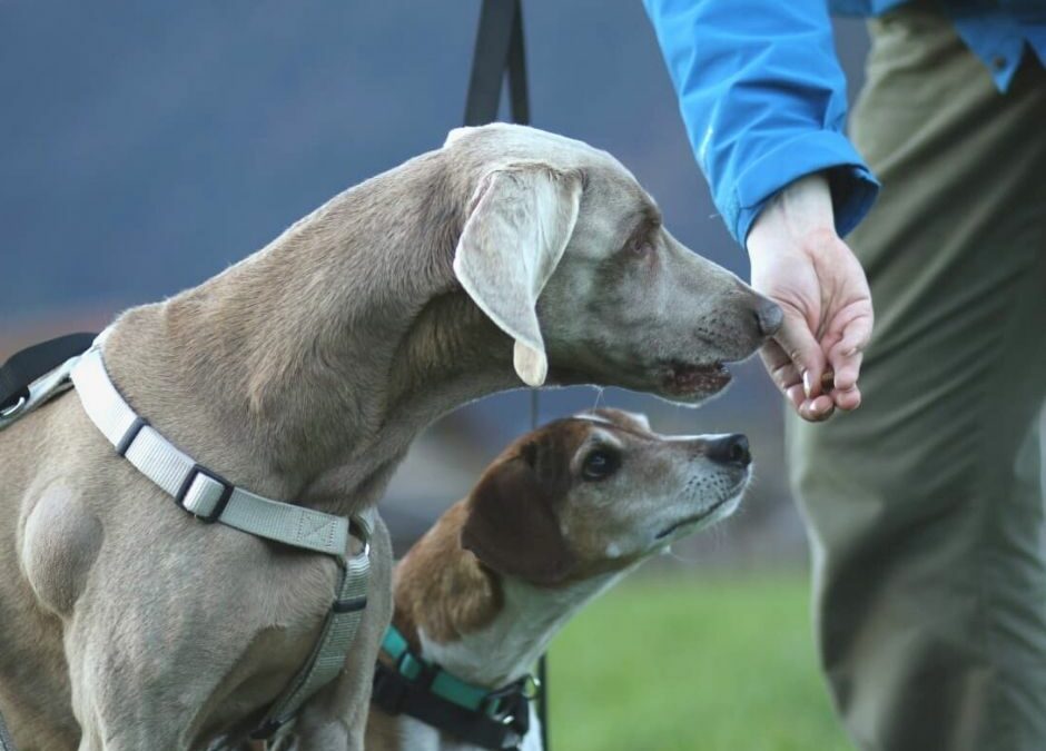 Otello & Jimmy