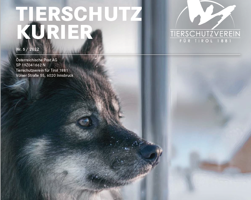 Tierschutzkurier 5/2022 ist online – Fehler in der Printausgabe