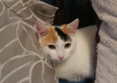 Gina  (12/2022)