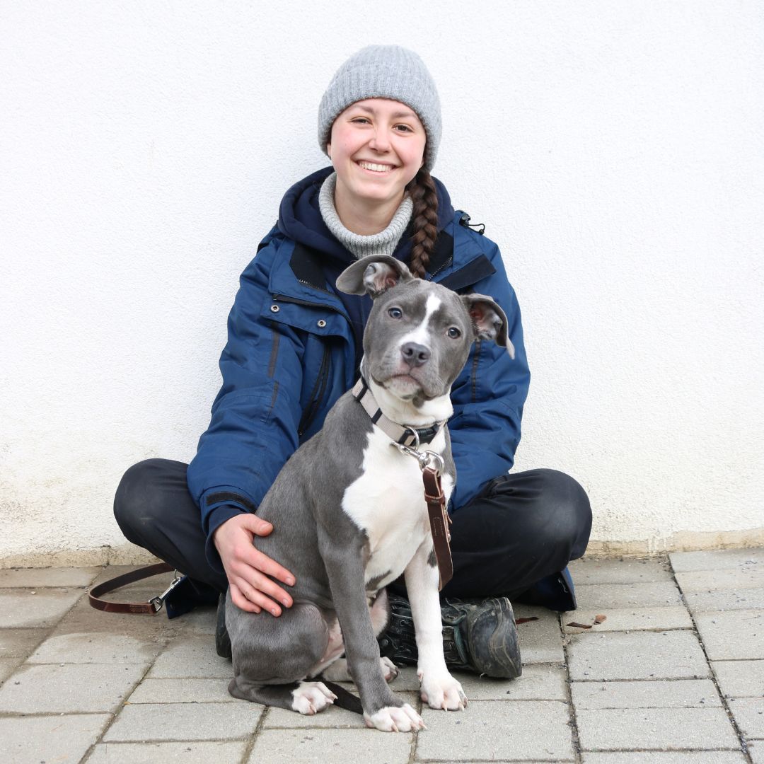 TIERPFLEGERIN HUNDE