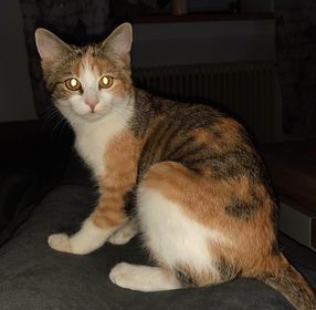 Gina, Angath  (01/23)