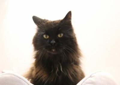 Baghira & Lilu